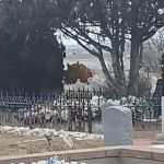 Woodland Grove Trailer Park