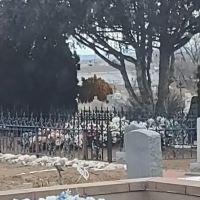 Woodland Grove Trailer Park ico