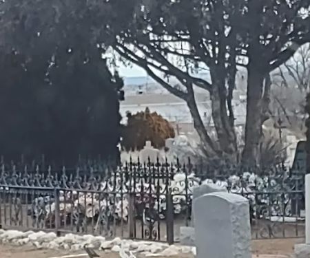 Woodland Grove Trailer Park