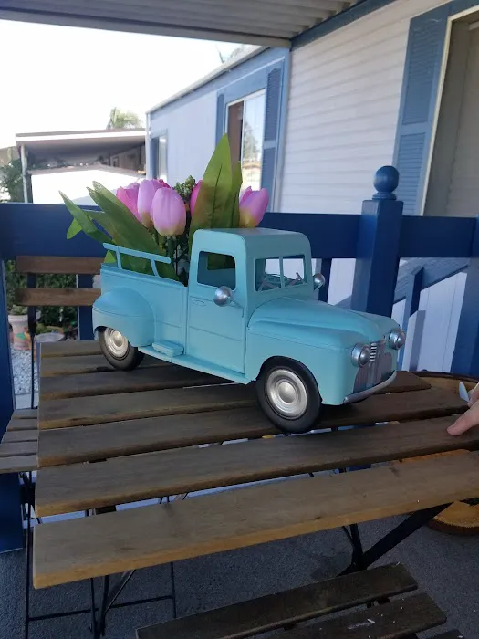 Thunderbird Villa Mobile Home Park Picture 3