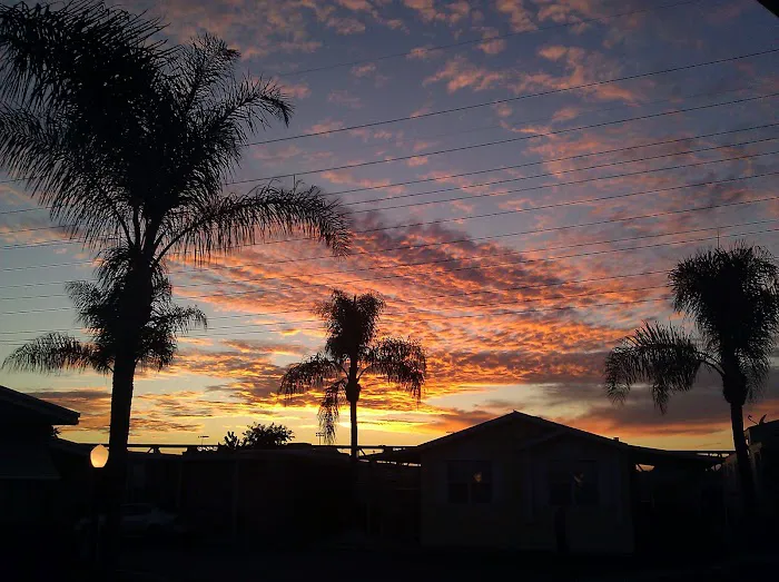 Thunderbird Villa Mobile Home Park Picture 2