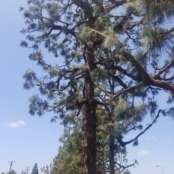 Americana Mobile Home Park Picture 7