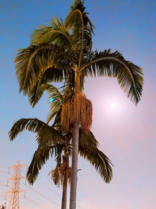 The Californian Estates - Paramount Picture 2