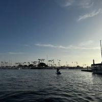 Seal Beach Shores ico