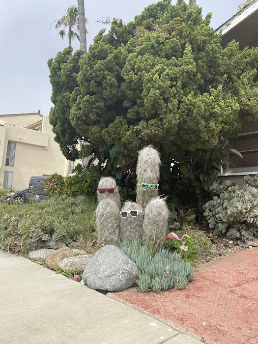 Seal Beach Shores Picture 4