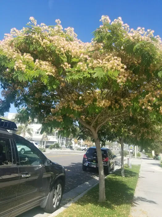 Seal Beach Shores Picture 9