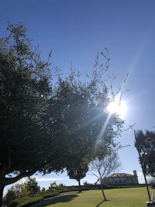 Sycamore Park Picture 9