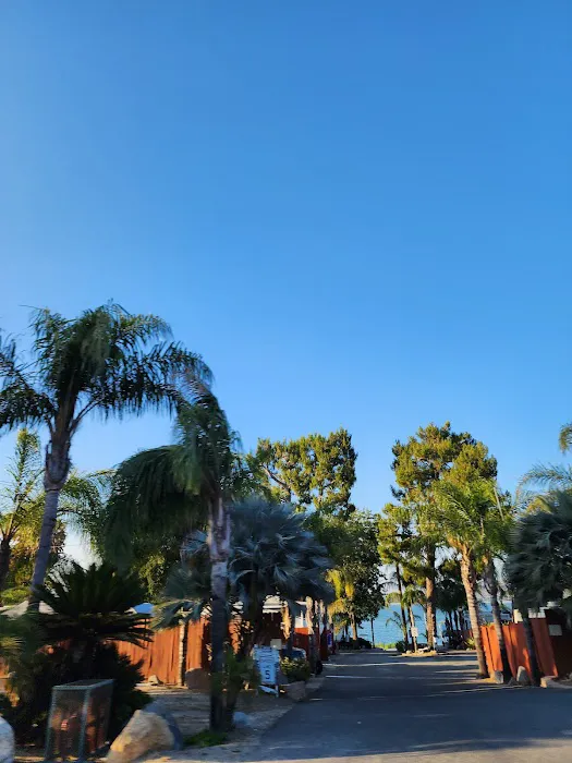 Playland Park Picture 7