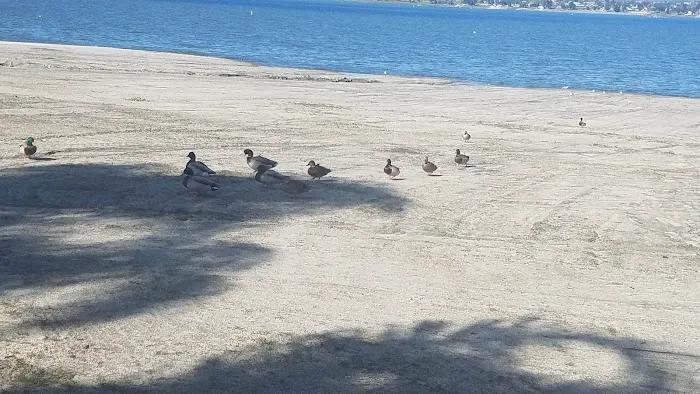 Playland Park Picture 1