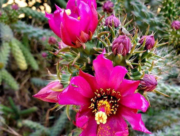 Bedrock RV Park Picture 7