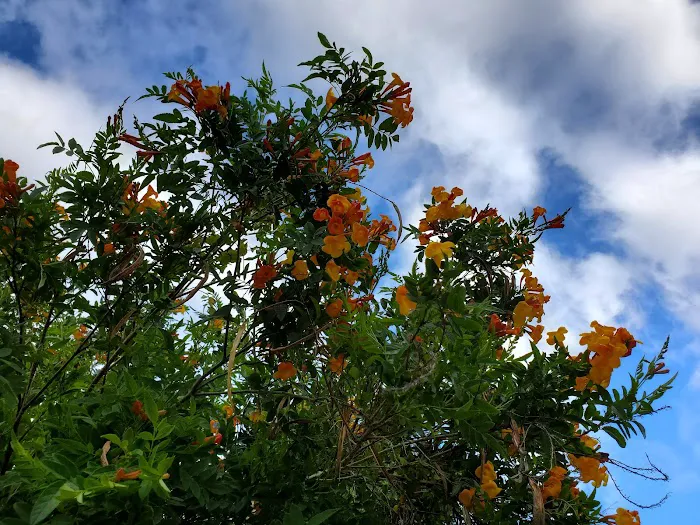 Bedrock RV Park Picture 9