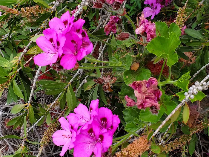 Bedrock RV Park Picture 8