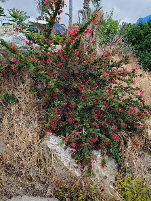 Bedrock RV Park Picture 10