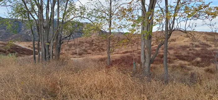 Pepper Tree RV Park Picture 7