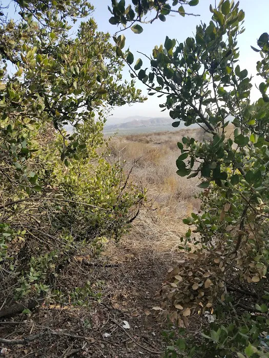 Pepper Tree RV Park Picture 10