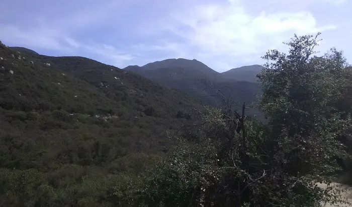 Ortega Oaks RV Park & Campground Picture 7