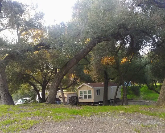 Ortega Oaks RV Park & Campground Picture 4