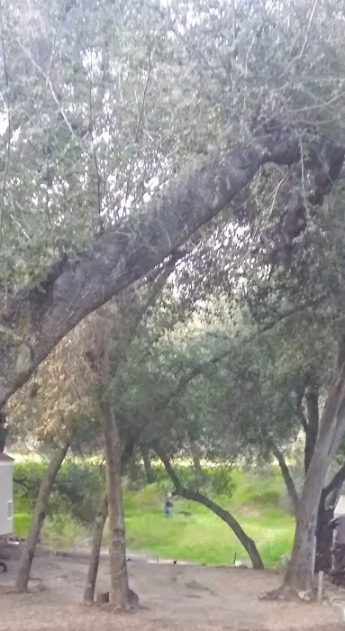 Ortega Oaks RV Park & Campground Picture 3