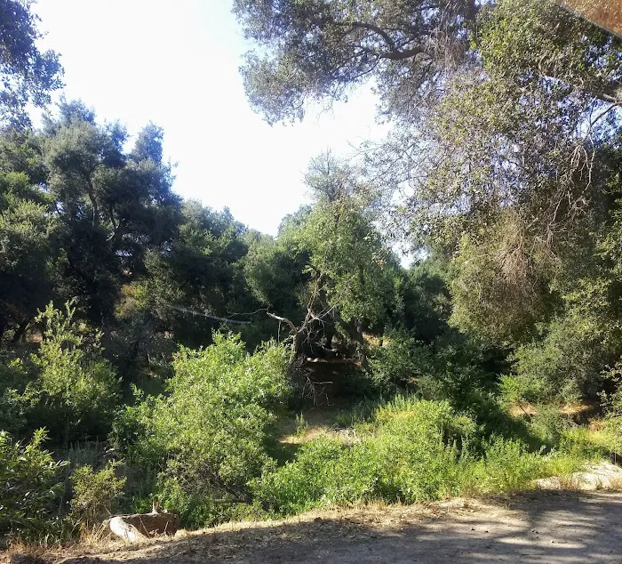 Ortega Oaks RV Park & Campground Picture 8