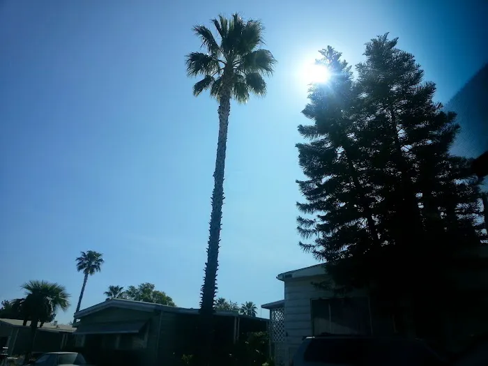 Las Palmas Estates Picture 3