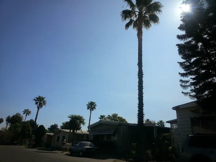 Las Palmas Estates Picture 2