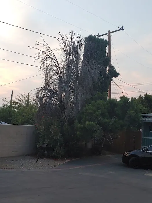 El Dorado Mobile Home Park Picture 9