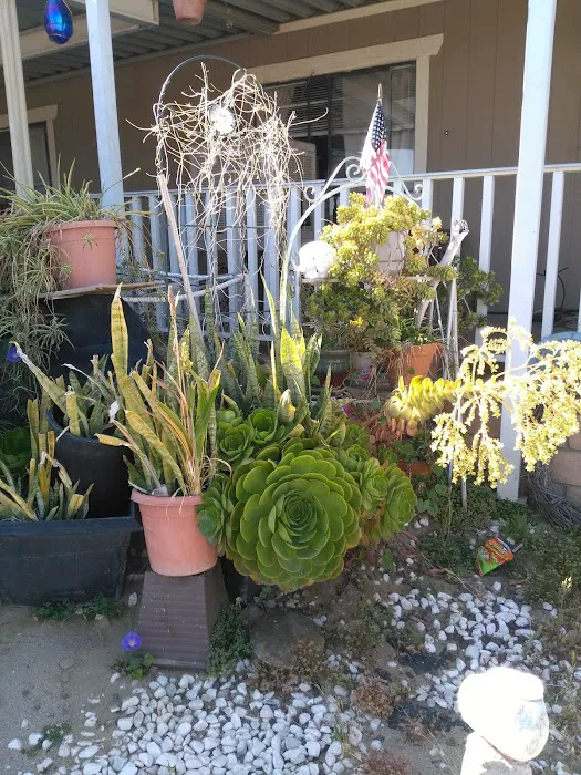 RANCHO MERIDIAN MOBILE ESTATE Picture 7