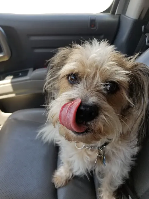 Peppertree Mobile Home Park Picture 9