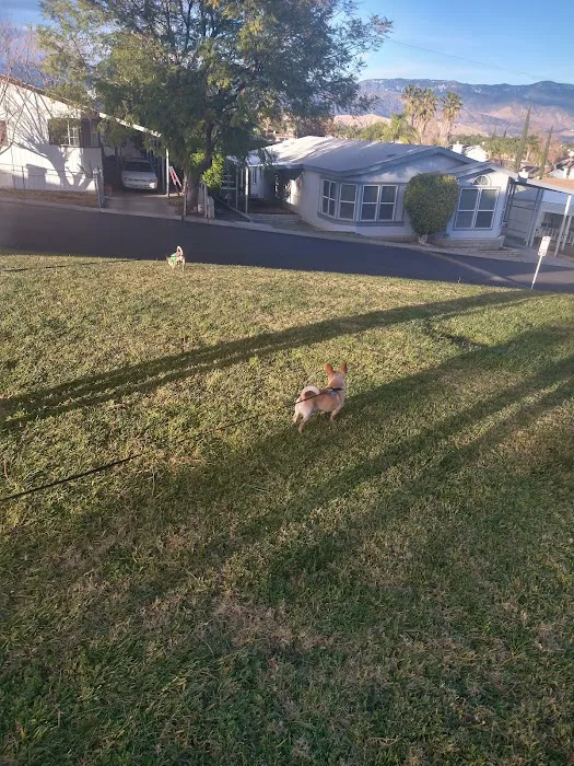 San Bernardino Spa Mobile Home Estates Picture 7