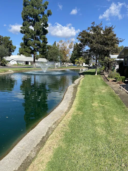 Laguna Vista MHC, LLC Picture 10