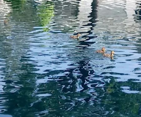 Laguna Vista MHC, LLC