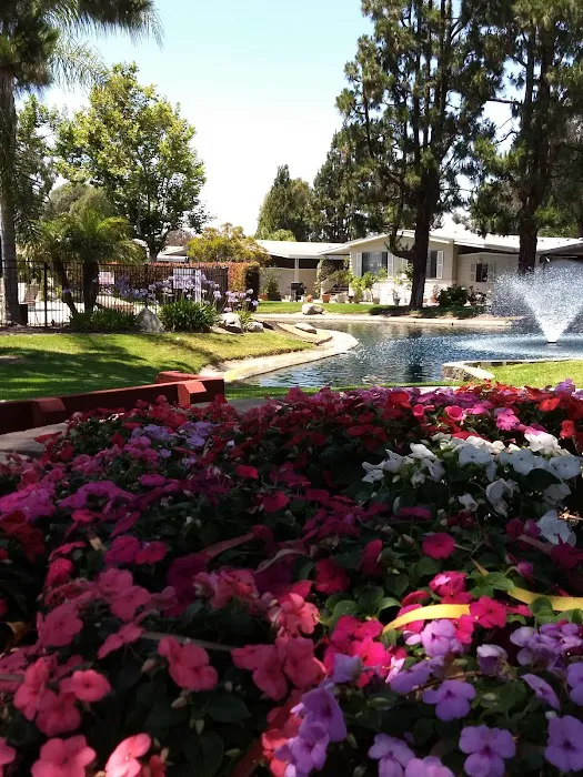Laguna Vista MHC, LLC Picture 2