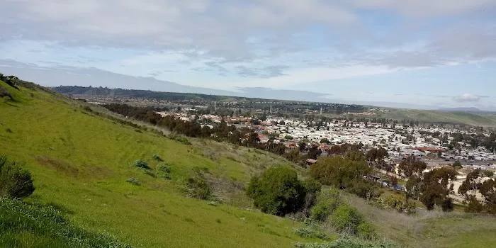 Mission View Manor Picture 1
