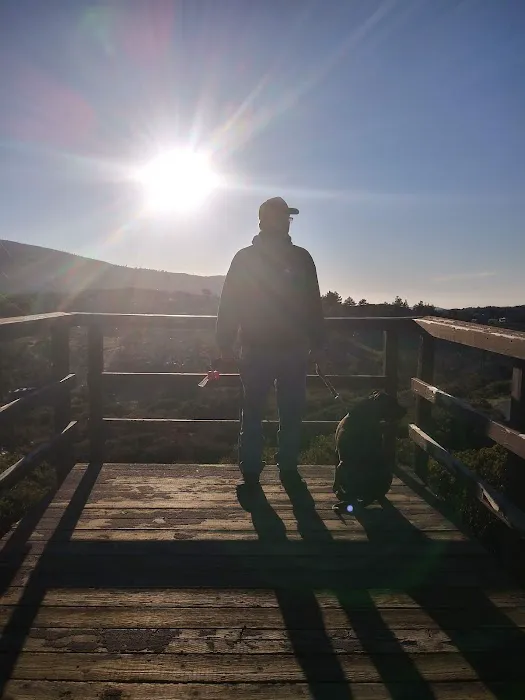 Resort Parks International Llc Picture 4