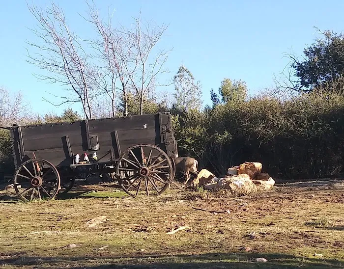 Resort Parks International Llc Picture 8