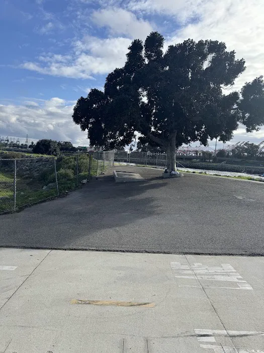 Golden Shore RV Resort Picture 3