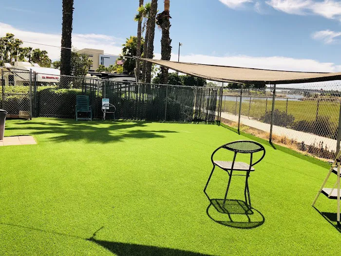 Golden Shore RV Resort Picture 4