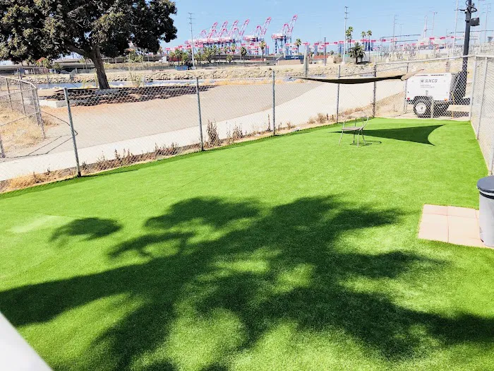 Golden Shore RV Resort Picture 9