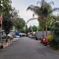 Arbor Mobile Home Park ico