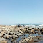 Shady Acres Mobile Park