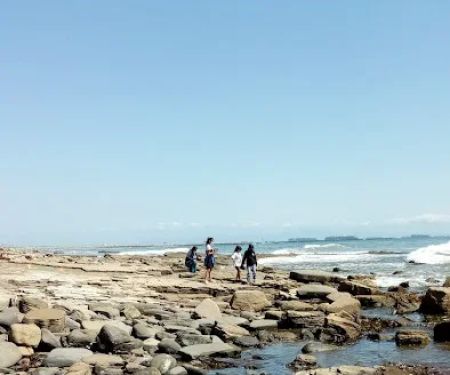 Shady Acres Mobile Park