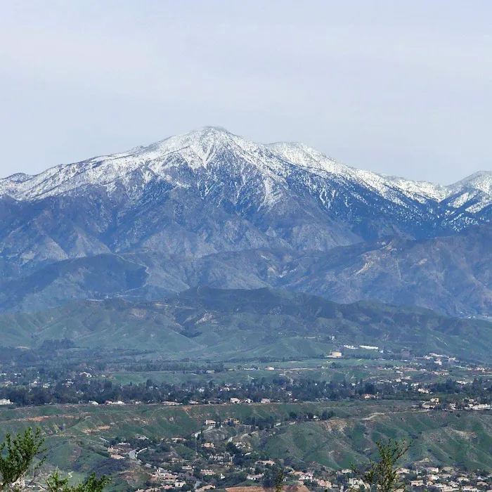 Olive Dell in Colton Picture 6