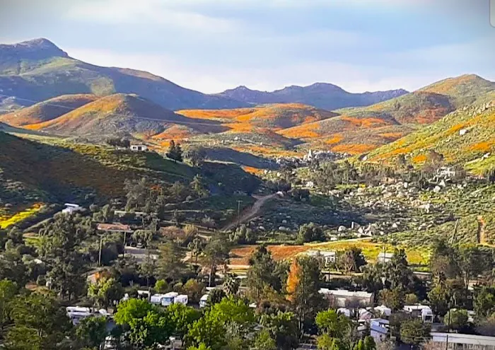 Meadowbrook RV Park Picture 6