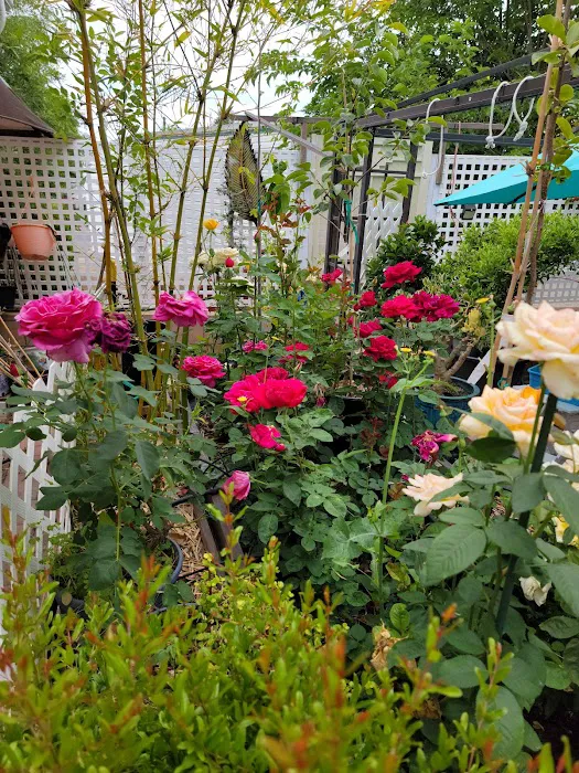 Meadowbrook RV Park Picture 4