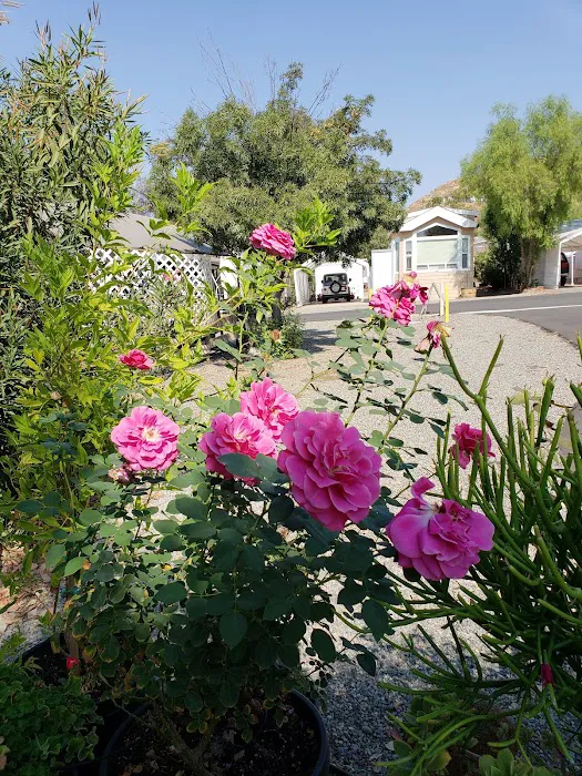 Meadowbrook RV Park Picture 5