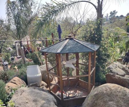 Palm View RV Park & Campground