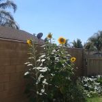 SANTIAGO HILLSIDE ESTATES