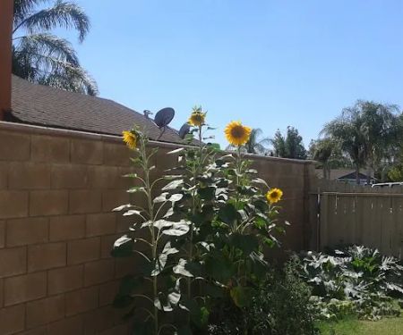 SANTIAGO HILLSIDE ESTATES