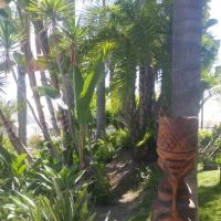 Tiki Mobile Village ico