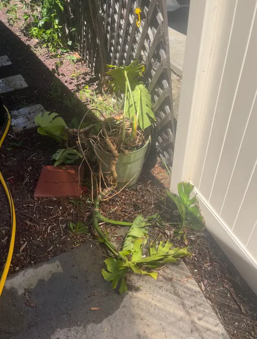 Santiago Estates-Vista Picture 3